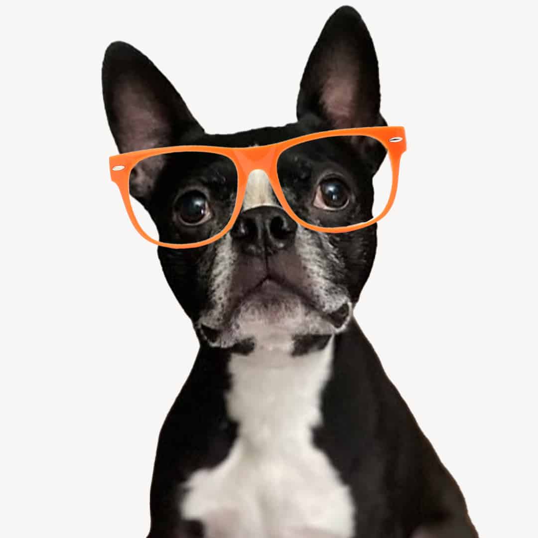 Otis Otis